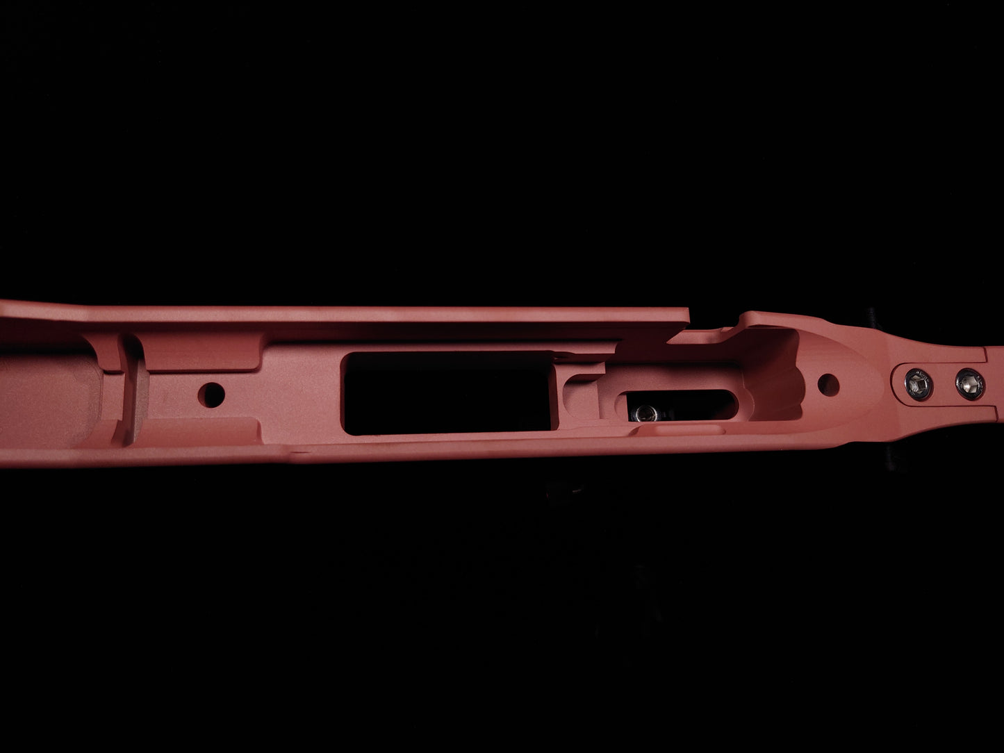 Internal view of the Delta 22 Chassis, showing the trigger mounting system and action compatibility for precision performance